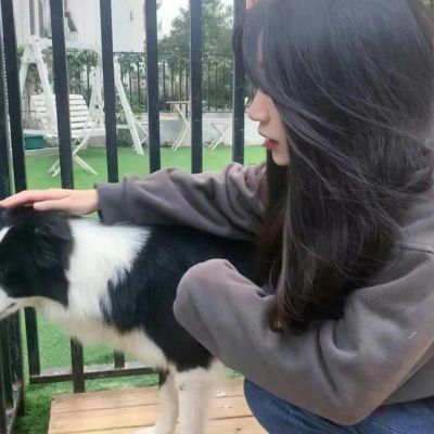 情侣头像没有地位狗人