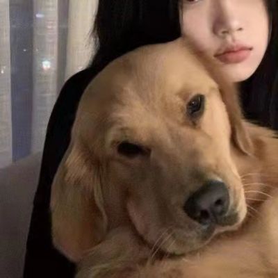 情侣头像没有地位狗人