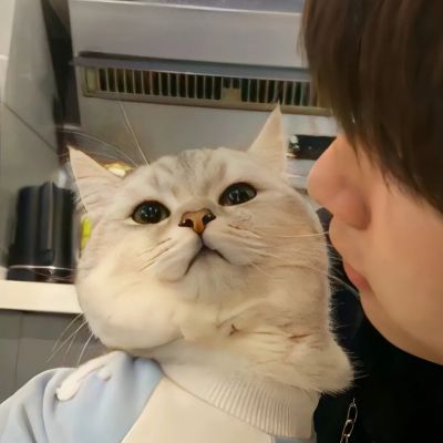 情侣高清头像真人一男一女不明显高清图片
