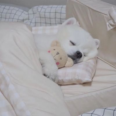 头像越怪长的越帅头像图片
