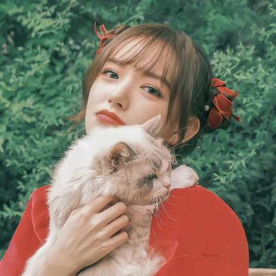 唯美女生头像抱猫真人温柔优质高清图片
