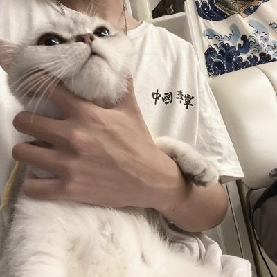 摆烂微信头像男