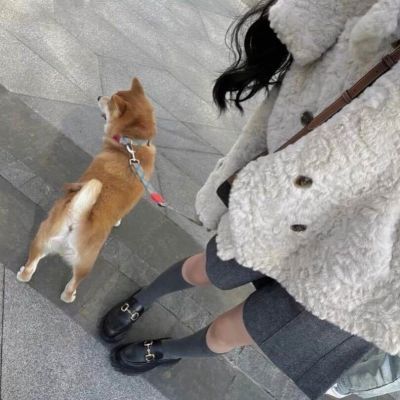 小众情侣头像对象是狗