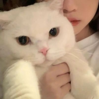 2025情侣火爆头像好看唯美图片