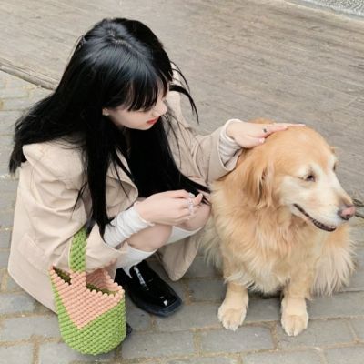 小众情侣头像对象是狗