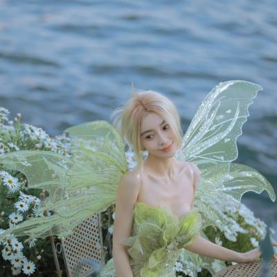 精灵头像女翅膀唯美