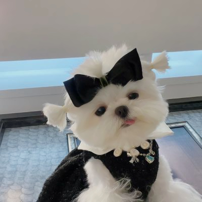 高质量修狗头像