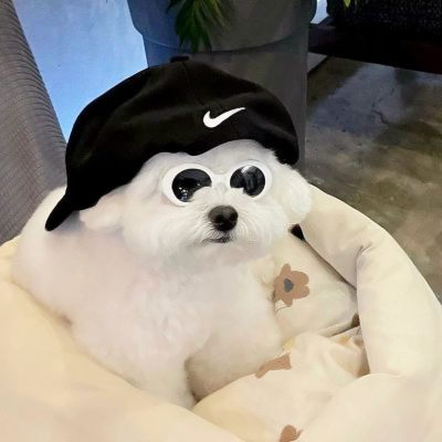 高质量修狗头像