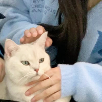 对象不是人系列情头可爱