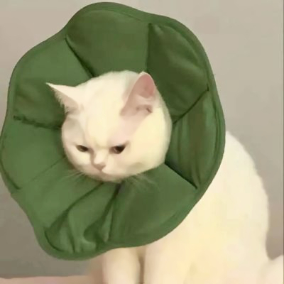 搞笑搞怪的头像