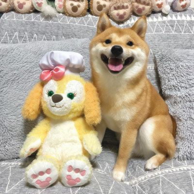 超萌的狗狗头像
