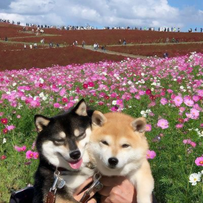 修勾情侣高清头像