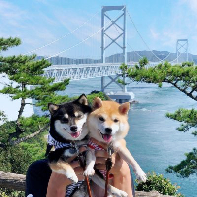 修勾情侣高清头像