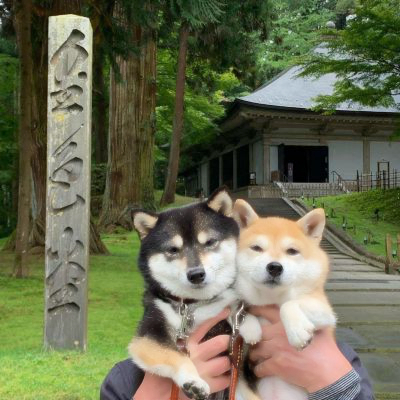 修勾情侣高清头像