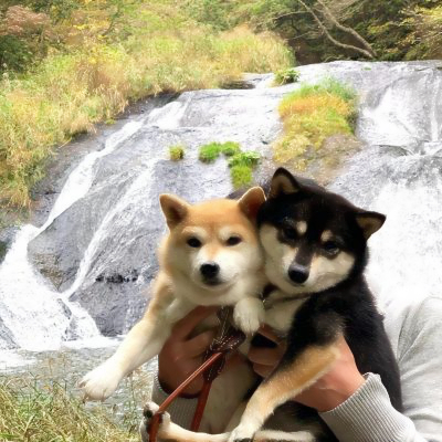 修勾情侣高清头像