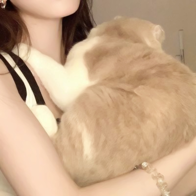 女生对象不是人是猫系列情侣头像图片