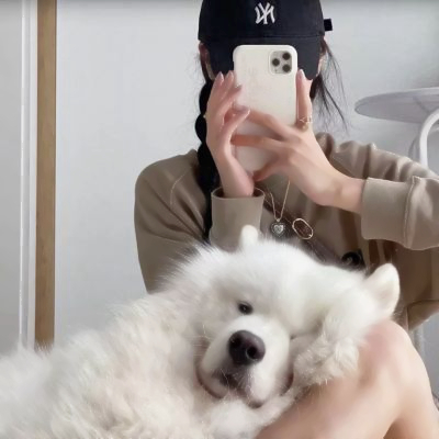 对象是小动物情头可爱高清图片