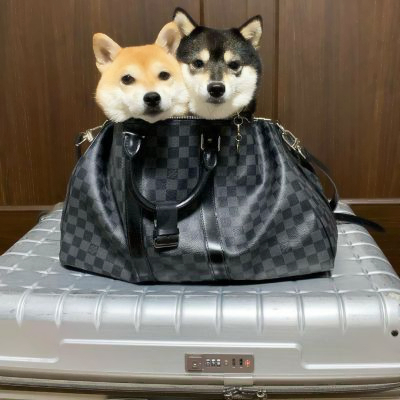 修勾情侣高清头像