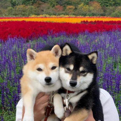 修勾情侣高清头像