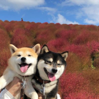 修勾情侣高清头像