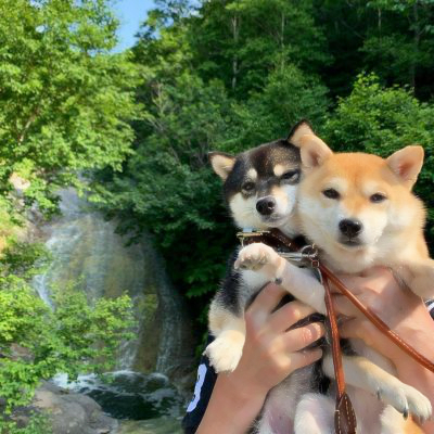 修勾情侣高清头像