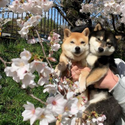修勾情侣高清头像