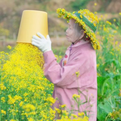 油菜花中老太太微信头像