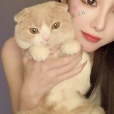 女生对象不是人是猫系列情侣头像图片