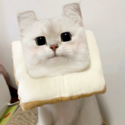 搞笑搞怪的头像
