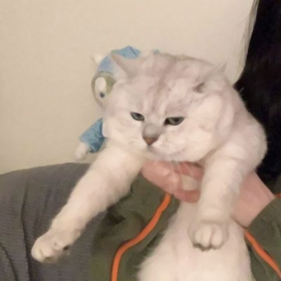 极其不明显的情头