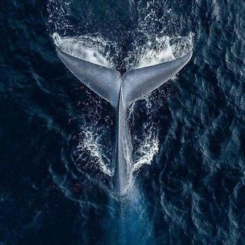 2026年流行微信头像图片