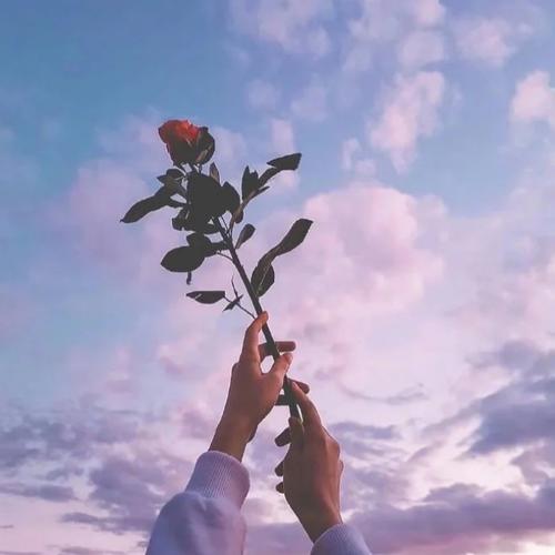 2026年流行微信头像图片