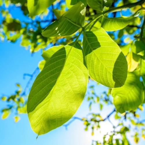 2026年流行微信头像图片