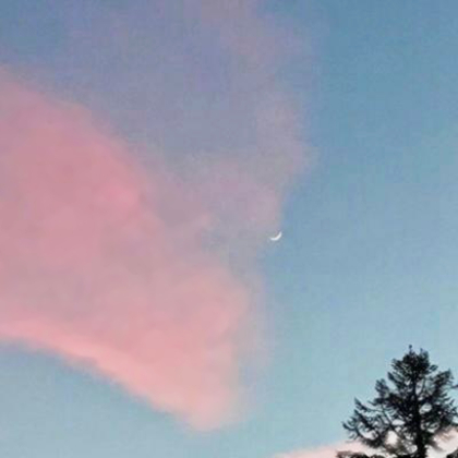 简约暖色微信头像清新风景静物图片