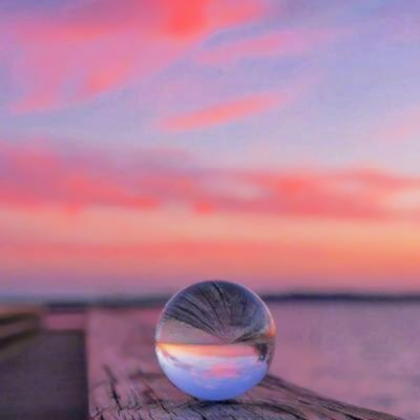 简约暖色微信头像清新风景静物图片