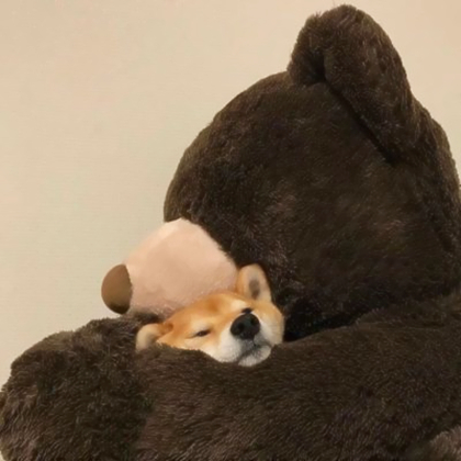 独一无二小众情侣头像高清图片