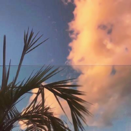 简约暖色微信头像清新风景静物图片