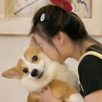 对象不是人系列情头ins