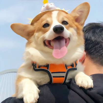 阳光情侣头像单人两张