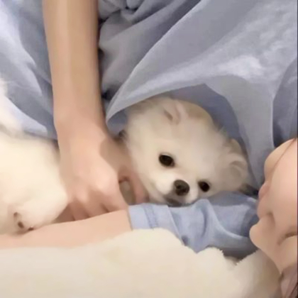 另一半不是人的情侣头像