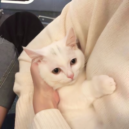 超耐看情侣头像
