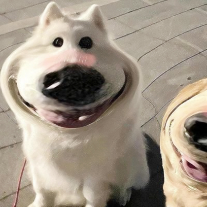 动物情侣妻奴头像