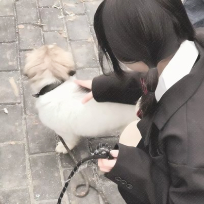 对象是狗系列情头真人