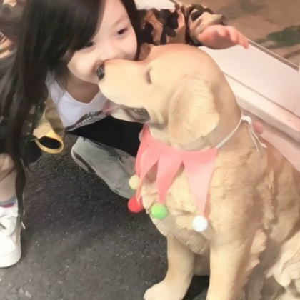 对象是狗系列情头真人