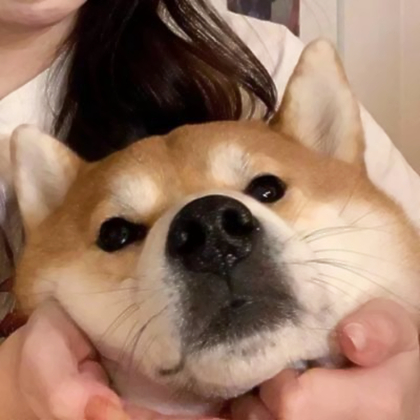 情侣头像其中一个不是人