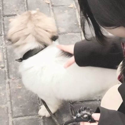 对象是狗系列情头真人