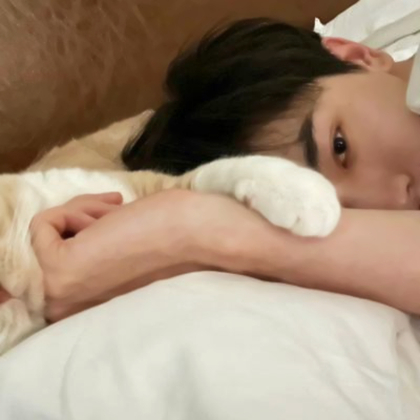 对象是猫咪情侣头像