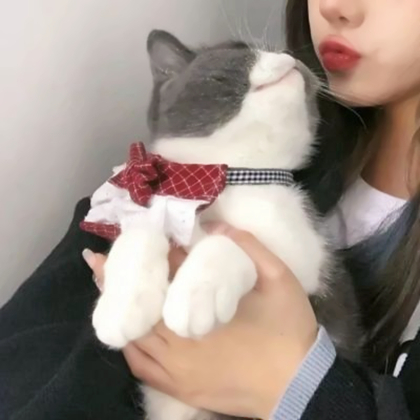 ins对象不是人情头