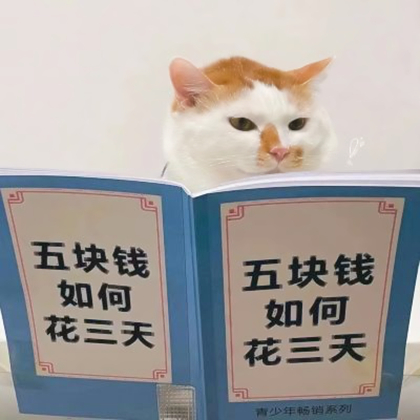 小动物情侣头像呆萌一对