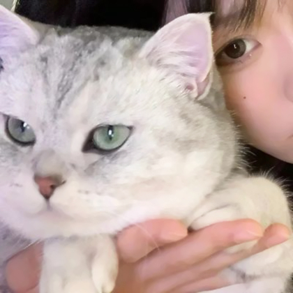 对象是猫咪情侣头像